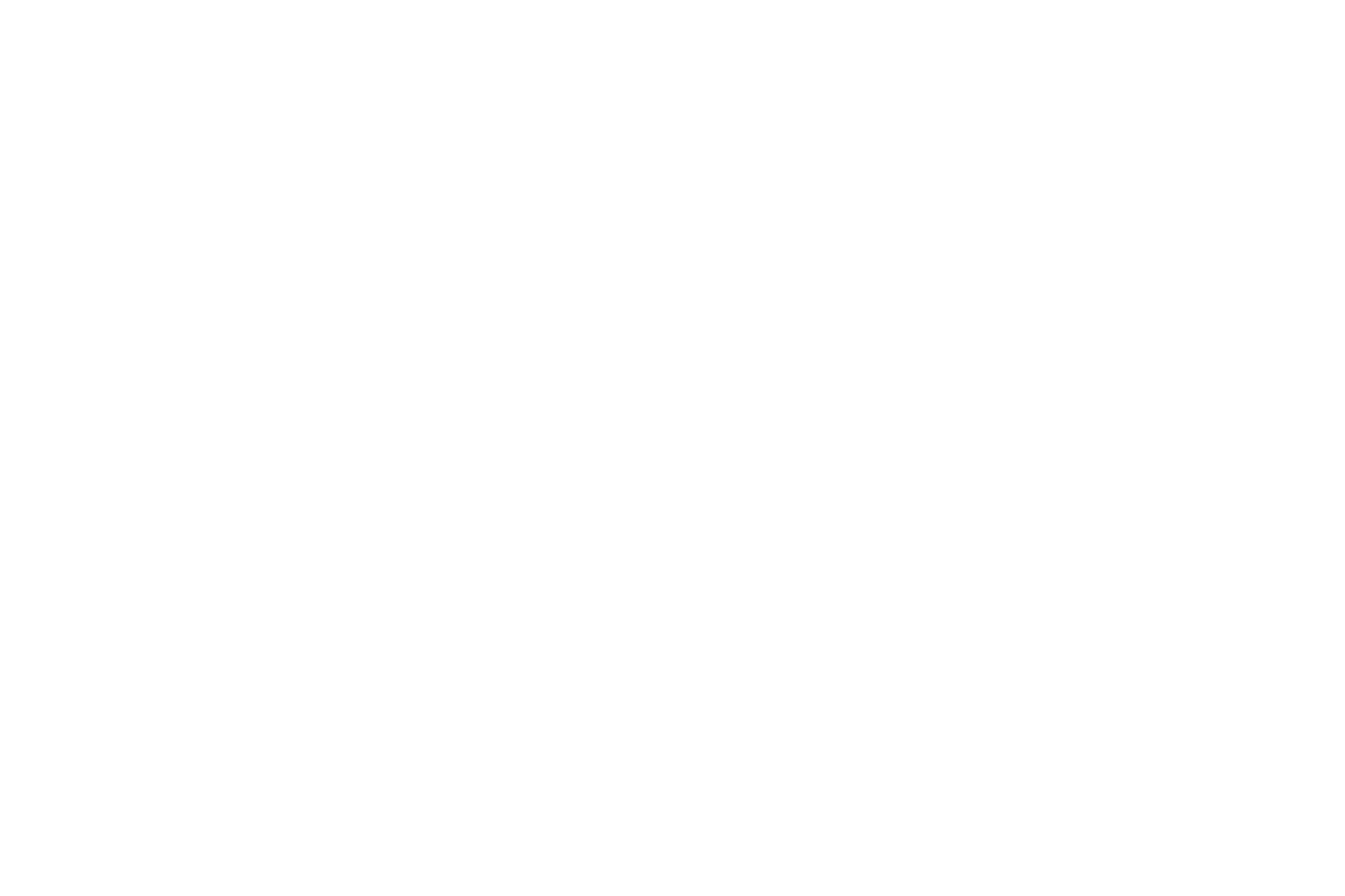 FluxDays.AI